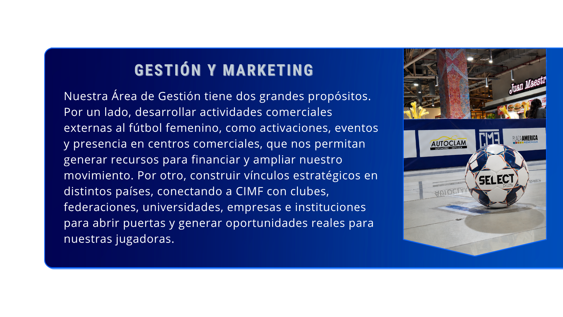 Área de Gestión y Marketing de CIMF